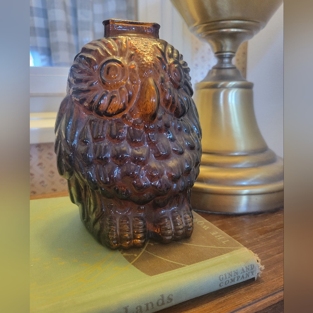 Brown Glass 'Wise Old Owl' Bank